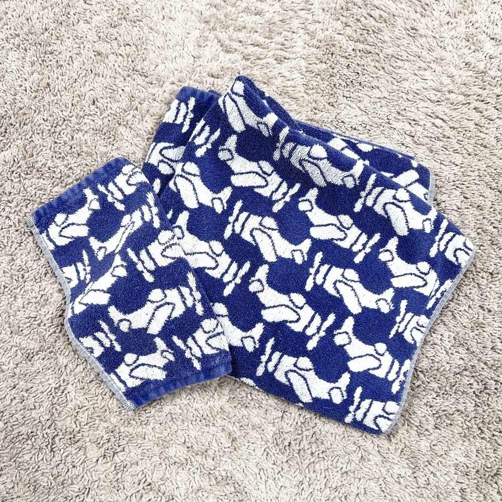 Pottery Barn Kids Airplane Print Bath Towel & Washcloth Lot